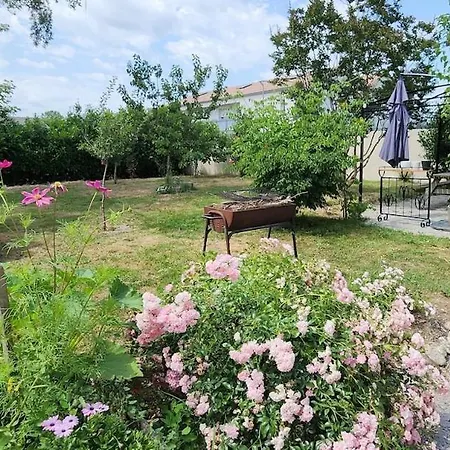 Grande Maison De Charme Centre Bourg Saint-Christophe-du-Ligneron
